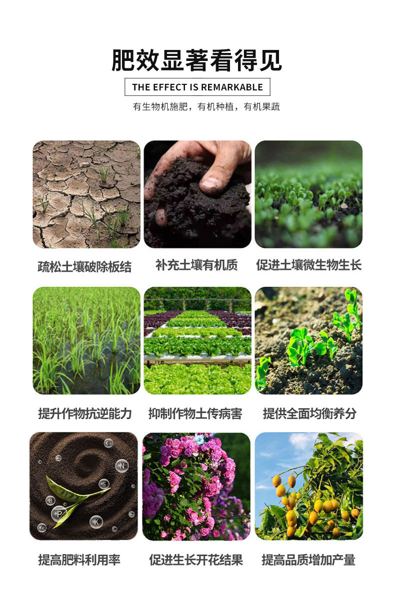 J-聚豐_09