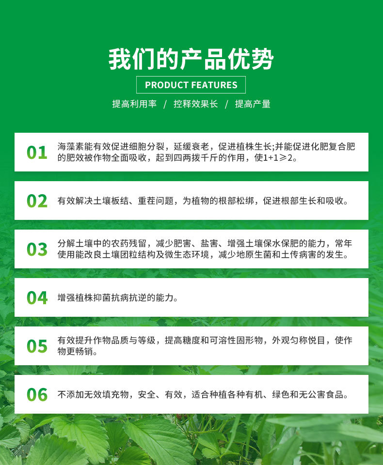 J-聚豐_06