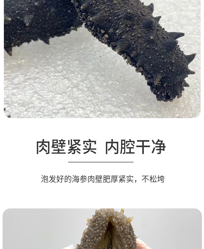 電商直供特級(jí)海參1_06.jpg