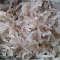 批發(fā)海蜇絲珊瑚絲涼拌菜5斤桶裝包郵非海蜇皮海蜇頭整桶批發(fā)海鮮