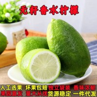 云南香水檸檬小青檸無籽青檸檬精選一級果海南新鮮水果整箱批發(fā)