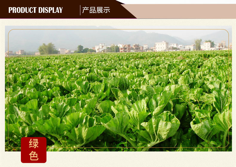 產(chǎn)品展示