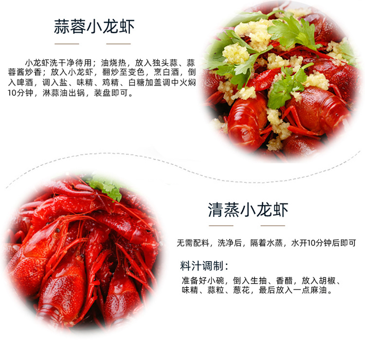 詳情頁模板-小龍蝦鮮活副本_15