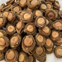 源頭批發(fā)南非鮑魚(yú)海味批發(fā)鮑魚(yú)南非鮑魚(yú)干4頭一手貨源