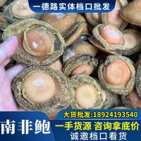 一德路檔口批發(fā)南非青鮑魚(yú)淡干鮑魚(yú)干優(yōu)選糖心鮑連干鮑魚(yú)南非干鮑