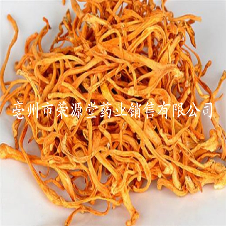 蟲(chóng)草花1_副本