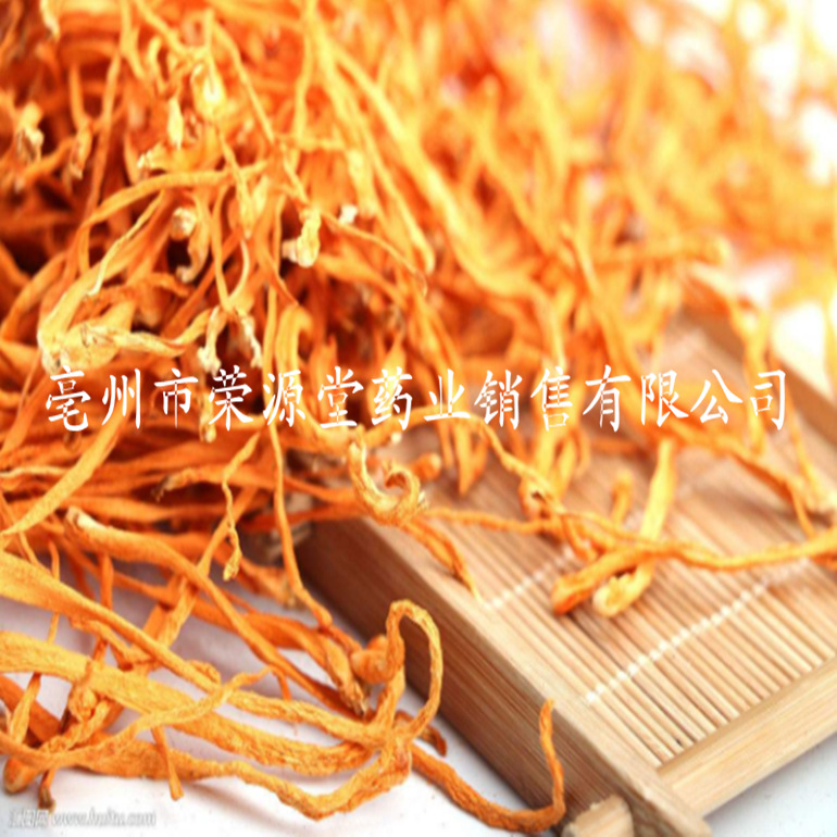 蟲(chóng)草花3_副本