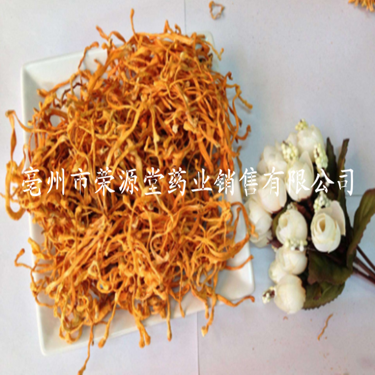 蟲(chóng)草花4_副本