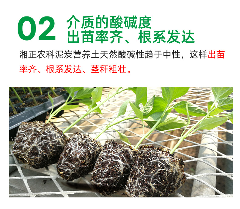 50L-基質-詳情頁面-2_06.jpg