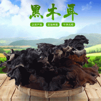 四川黑大木耳火鍋脆木耳250g批發(fā)支持分銷兩件代發(fā)訂貨大宗交易