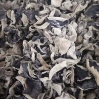潤澤食用菌源頭廠家農(nóng)產(chǎn)品干貨黑木耳批發(fā) 無根肉厚食用菌批發(fā)