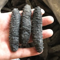 【順豐】海味海參禮盒裝土耳其進(jìn)口黑刺參 根根6排刺干貨批發(fā)海參