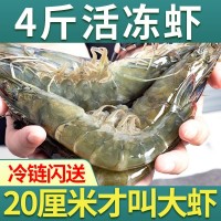 大蝦批發(fā)青島新鮮活冷凍海蝦青蝦海鮮基圍蝦對蝦特大號一整箱代發(fā)