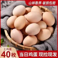 正宗農(nóng)家散養(yǎng)土雞蛋新鮮自養(yǎng)土雞蛋草雞蛋笨雞蛋柴雞蛋整箱包郵