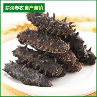 海參工廠大連特產(chǎn)淡干海參干貨批發(fā)水產(chǎn)干貨遼參大連海參批發(fā)