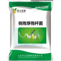 側孢短芽孢桿菌 100億/g 全水溶 生物防治菌腐熟有機肥微生物菌劑