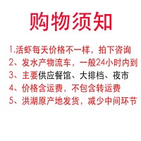 湖北洪湖小龍蝦批發(fā) 新鮮活蝦中紅中青蝦商用30斤紅殼蝦餐館包郵