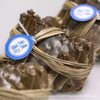 現(xiàn)貨鮮活特大湖北洪湖清水大閘蟹螃蟹一件代發(fā)順豐包郵
