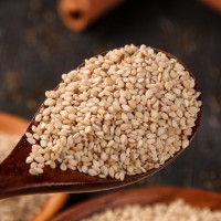 新貨生白芝麻500g免郵生芝麻干凈免洗飽滿帶皮生芝麻5斤廠家批發(fā)