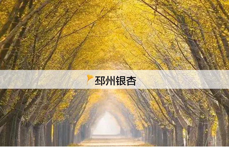 詳情圖片_10