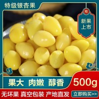 邳州特產(chǎn)銀杏仁真空包鮮去殼去皮白果仁500g袋裝可出口商檢