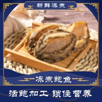 鮑魚(yú)哥鮑魚(yú)特產(chǎn)淡凍煮鮑魚(yú)酒店佛跳墻煲湯鮑魚(yú)干海鮮海產(chǎn)品批發(fā)