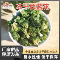 脫水蔬菜干凍干西藍花FD西藍花真空冷凍干燥西藍花干廠家直供