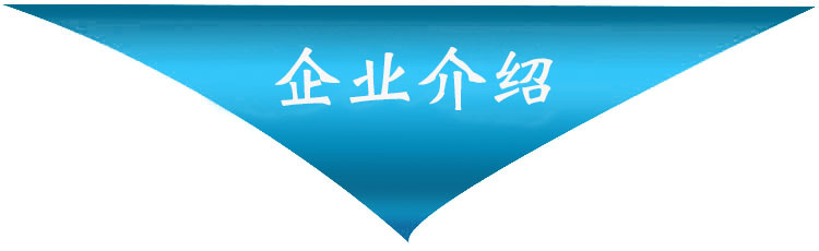 企業(yè)介紹.jpg