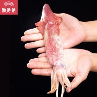 廠家批發(fā)活凍魷魚 一口管帶籽烏賊魷魚須酒店自助餐食材海鮮供應