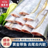 帶魚 福建東山金邊黃金帶魚去尾去內(nèi)臟小眼刀魚中斷 海鮮水產(chǎn)批發(fā)