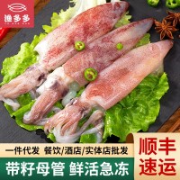 帶籽魷魚批發(fā) 海鮮帶籽母管八爪魚海兔400克 酒店自助餐 廠家供應