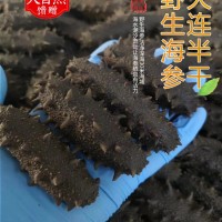 拉缸鹽半干海參批發(fā)泡發(fā)速發(fā)大連海參遼刺參非淡干和即食海參