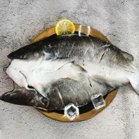 新鮮開(kāi)背清江魚(yú)活魚(yú)冷凍商用烤魚(yú)半成品鮮活腌制整條700g-1100g