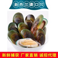 新西蘭青口貝 全殼半殼廠(chǎng)地直銷(xiāo)批發(fā)水產(chǎn)新鮮海產(chǎn)量大電聯(lián)