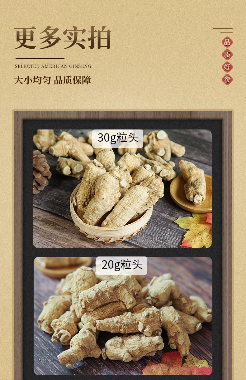 西洋參粒頭總規(guī)格_08.jpg