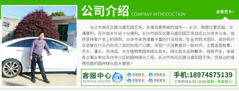 公司介紹.jpg