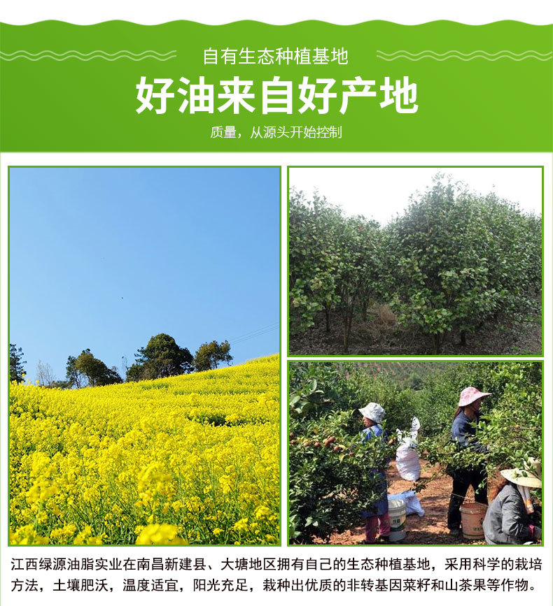 原味山茶-5L-1688-詳情頁_07.jpg