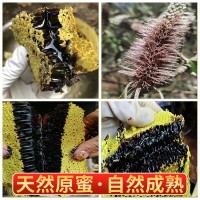 源頭工廠云南邊境野蜂米團花 黑蜂蜜高原特產(chǎn)黑蜜原蜜黑 蜂中蜂