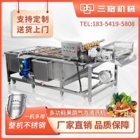 果蔬氣泡清洗機(jī)風(fēng)干機(jī)沃柑臍橙橘子洗果機(jī)商用預(yù)制菜洗包裝袋污漬