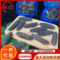 海參螺紋參25頭干貨深海刺參 帶刺淡干 即食海參廠家批發(fā) 招代理