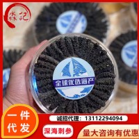 俄羅斯純淡干海參 深海刺參禮盒裝100頭 遼參紅極參滋補(bǔ)干貨工廠