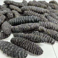 龍紋參深海螺紋參黑刺參淡干海參干貨肉厚泡發(fā)率高3到40頭