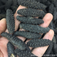 愛琴海土耳其海參希臘米刺參冰島海參 黑刺參 淡干海參干貨