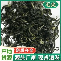 2023新春茶毛尖綠茶 原產(chǎn)地批發(fā)茶葉實(shí)體店供應(yīng)早春茶青