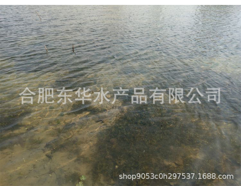 詳情頁9.jpg