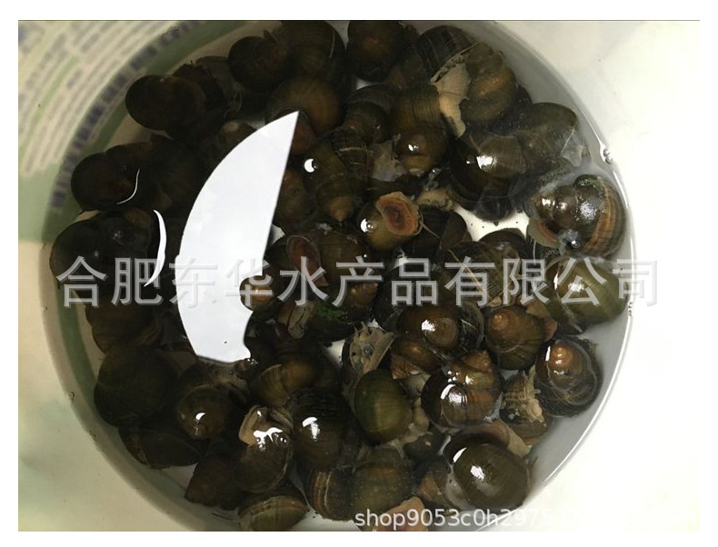 詳情頁6.jpg