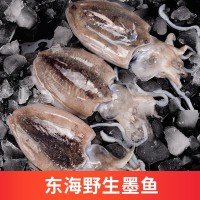 東海大號(hào)墨魚新鮮冷凍目魚八爪魚鮮活烏賊章魚冰鮮海鮮批發(fā)一件代