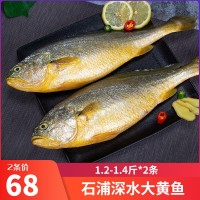 東海黃花魚新鮮冰鮮冷凍海捕魚深海水產(chǎn)鮮活海魚生鮮大黃魚可代發(fā)