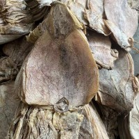 魷魚干批發(fā) 水發(fā)魷魚 ok 魷魚干 朝鮮族魷魚