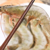 國(guó)產(chǎn)大蝦 海鮮水產(chǎn) 2斤裝生鮮凍品冷凍南美白對(duì)蝦青蝦基圍蝦批發(fā)